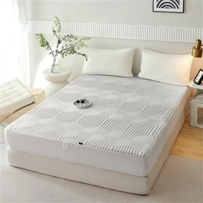 Big Lots Bed Bug Tilam Penutup Topper Kilang Berzip